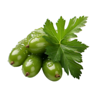 AI generated Neem fruit isolated on transparent background png