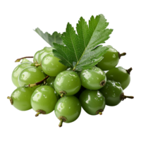 ai generato neem frutta isolato su trasparente sfondo png