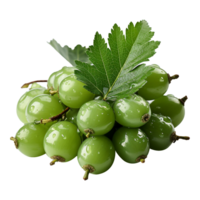 AI generated Neem fruit isolated on transparent background png