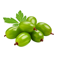 AI generated Neem fruit isolated on transparent background png