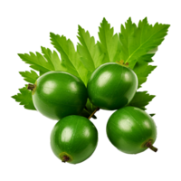 AI generated Neem fruit isolated on transparent background png