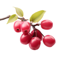 ai generado serviceberry Fruta png aislado en transparente antecedentes