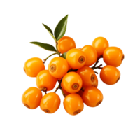 AI generated Sea buckthorn fruit png isolated on transparent background