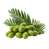 AI generated Zamia fruit png isolated on transparent background