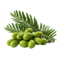 ai gegenereerd Zamia fruit PNG geïsoleerd Aan transparant achtergrond