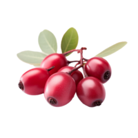 ai generato serviceberry frutta png isolato su trasparente sfondo