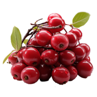 AI generated Serviceberry fruit png isolated on transparent background