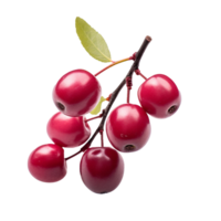 AI generated Serviceberry fruit png isolated on transparent background