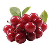 AI generated Serviceberry fruit png isolated on transparent background