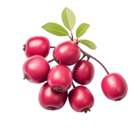 AI generated Serviceberry fruit png isolated on transparent background