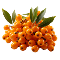 AI generated Sea buckthorn fruit png isolated on transparent background