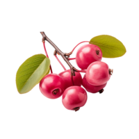 AI generated Serviceberry fruit png isolated on transparent background