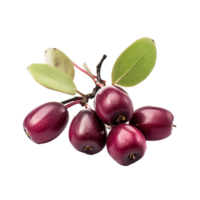 AI generated Serviceberry fruit png isolated on transparent background