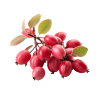 AI generated Serviceberry fruit png isolated on transparent background