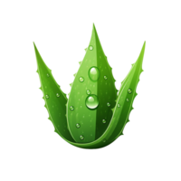 ai genererad aloe vera png isolerat på transparent bakgrund