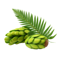 ai gegenereerd Zamia fruit PNG geïsoleerd Aan transparant achtergrond