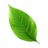 AI generated 3d green leaf isolated on transparent background png