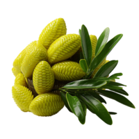 AI generated Zamia fruit png isolated on transparent background