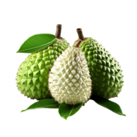 AI generated Soursop fruit png isolated on transparent background