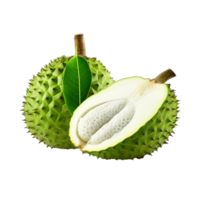 AI generated Soursop fruit png isolated on transparent background