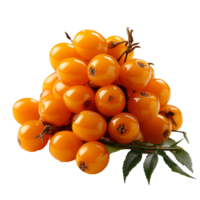 AI generated Sea buckthorn fruit png isolated on transparent background