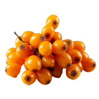 AI generated Sea buckthorn fruit png isolated on transparent background