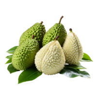 ai generato soursop frutta png isolato su trasparente sfondo