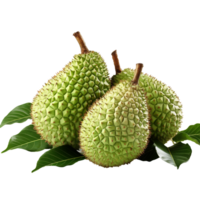 AI generated Soursop fruit png isolated on transparent background