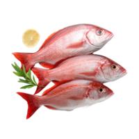 AI generated Raw fish png isolated on transparent background