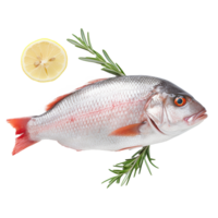 AI generated Raw fish png isolated on transparent background