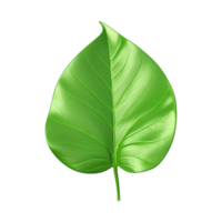 AI generated 3d green leaf isolated on transparent background png