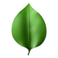 AI generated 3d green leaf isolated on transparent background png