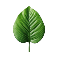 AI generated 3d green leaf isolated on transparent background png