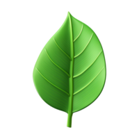 AI generated 3d green leaf isolated on transparent background png