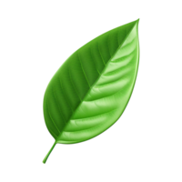 AI generated 3d green leaf isolated on transparent background png