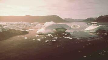 flutuando icebergs em uma sereno água superfície video