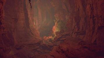 A vibrant cave filled with red rocks video