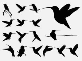 colibríes vector silueta diseño