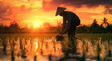 ai generado un hombre en un sombrero es arada el arroz campo a puesta de sol foto