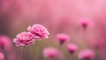 AI generated pink flowers in a field with a blurred background photo