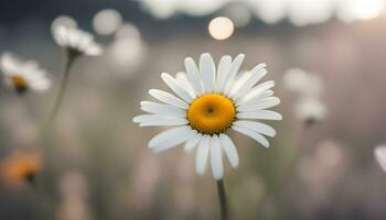 ai generado un soltero blanco margarita es en el medio de un campo foto