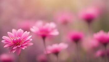 ai generado rosado flores en un campo con borroso antecedentes foto