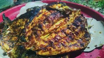 Close up of the texture of grilled fish meat on a plate photo