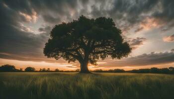 ai generado un solitario árbol soportes en un campo durante un dramático puesta de sol foto