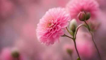 AI generated pink flowers are shown in a blurred background photo