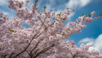 AI generated cherry blossoms in bloom photo