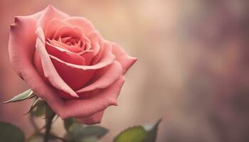 ai generado un soltero rosado Rosa es mostrado en frente de un borroso antecedentes foto