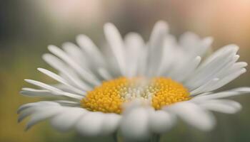 AI generated a close up of a single white daisy photo