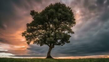 ai generado un solitario árbol soportes en un campo debajo un dramático cielo foto