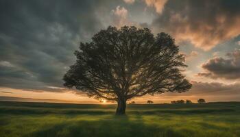 ai generado un solitario árbol soportes en un campo durante puesta de sol foto